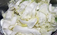 ʽײ˵9