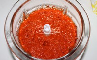 ʽײ˵16