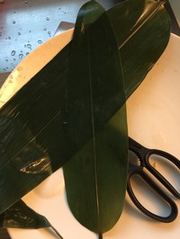 㹽Ͳ15