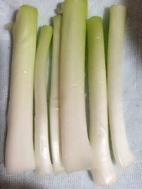 ϳţ4
