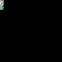 ͰƤ±34