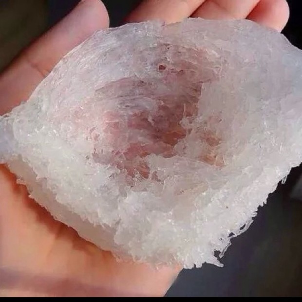 即食杂锦冰糖炖燕窝的做法