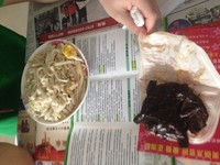 ͸鼦2