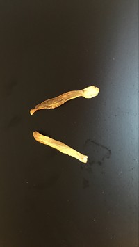 ţ6