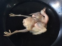 롪嵭2