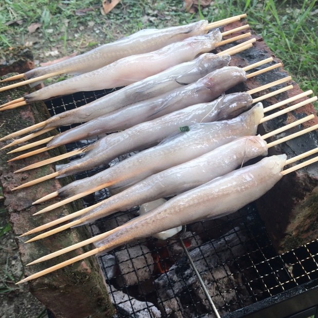 烧烤豆腐鱼的做法