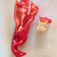 콷鼦2