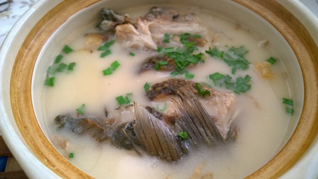 炖鲫鱼汤的做法