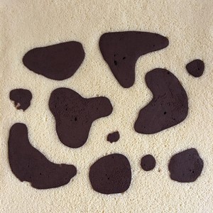 ţ 4