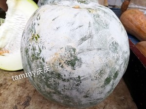 ᶬأͰ棩 10