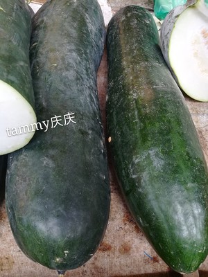 ᶬأͰ棩 11