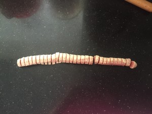 ںϺ 13