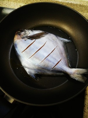 干煎鲳鱼的做法 步骤3