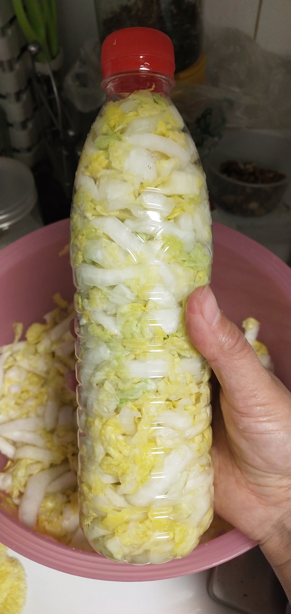 超快手简易酸菜的做法