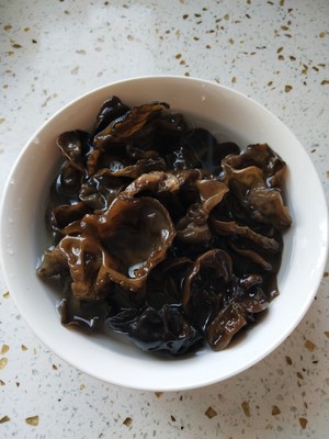 ڻóԵڽӵ 2
