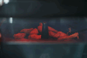 ֭ص 14