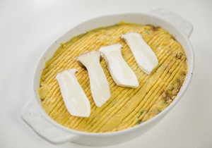 紿ɵ 11