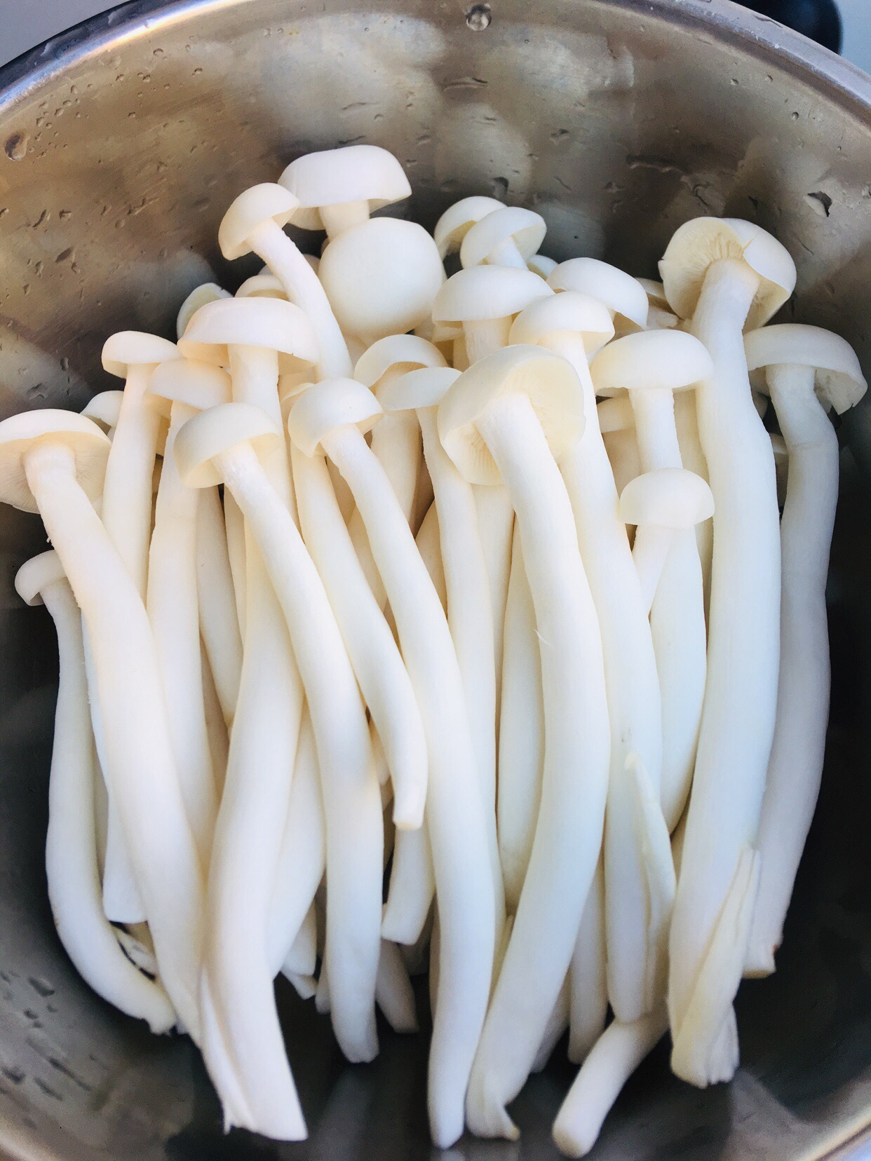 鲜嫩白玉菇的做法大全_鲜嫩白玉菇的家常做法 - 心食神