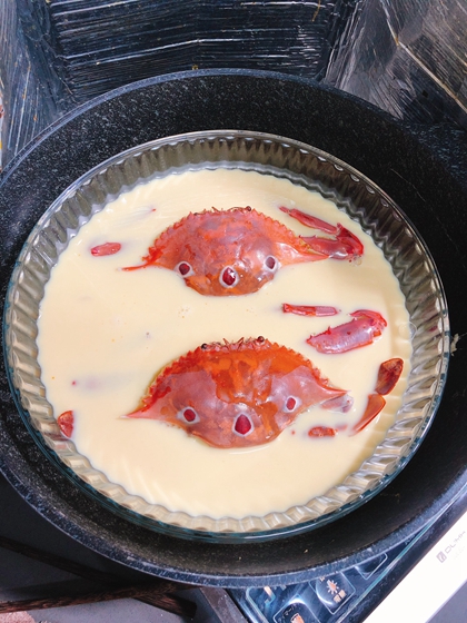 ڻ̵зͼƬ4