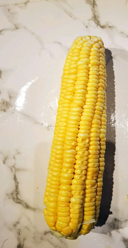 做正宗玉米粑粑的图片步骤2