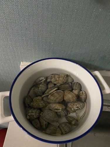 ھ޺óԵĺʷ˿ҵͼƬ2