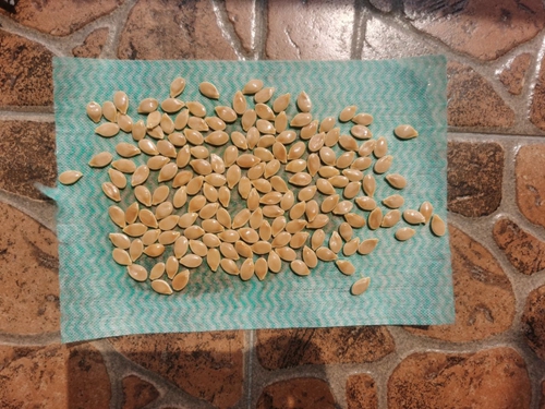 ڳϹӵͼƬ1