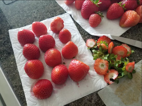 ڲݮǧɵͼƬ7