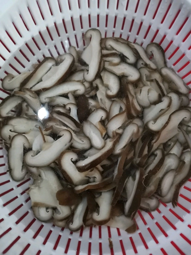 ڻ˼ͼƬ3