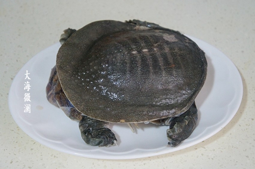 ڶϼͼƬ1