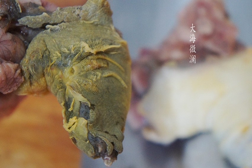 ڶϼͼƬ4
