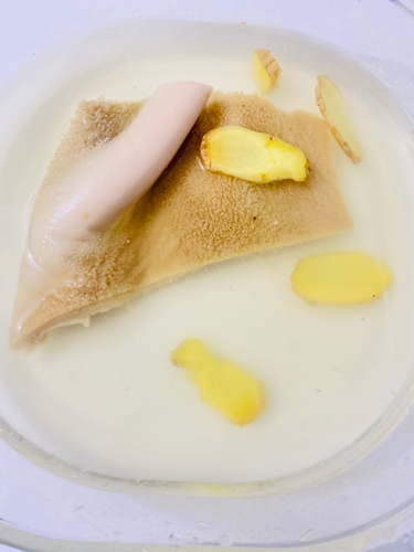 ڱ⽷ţ˿ͼƬ3