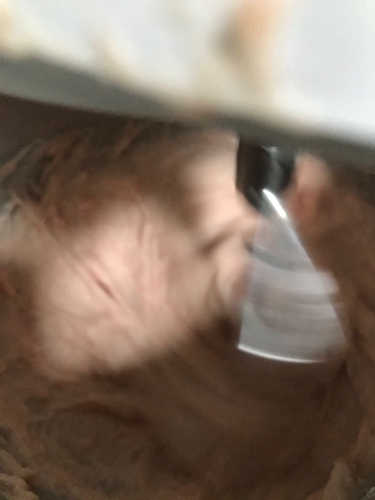 ڳͼƬ7