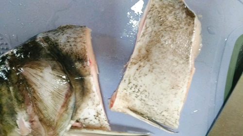 ڵͷͼƬ2