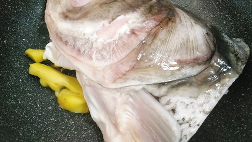 ڵͷͼƬ5