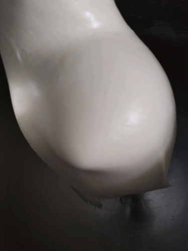 ͳĻ֥ʿ˾ͼƬ6