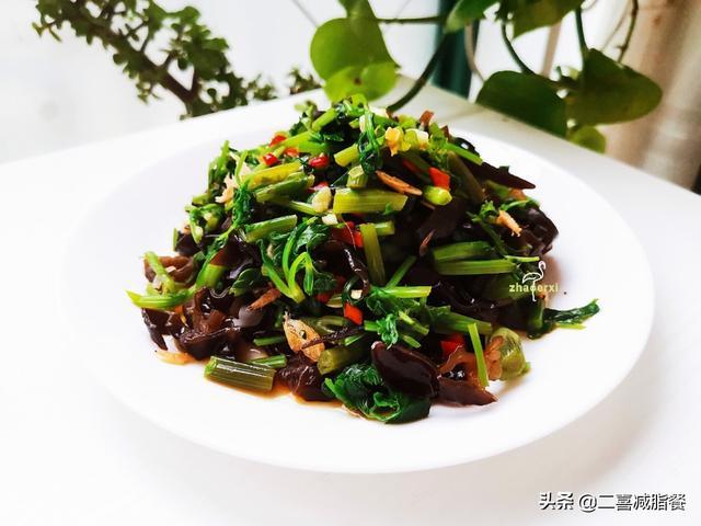 �вͶ�ʳʳ��