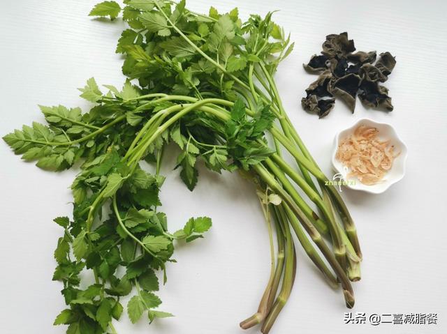 �вͶ�ʳʳ��