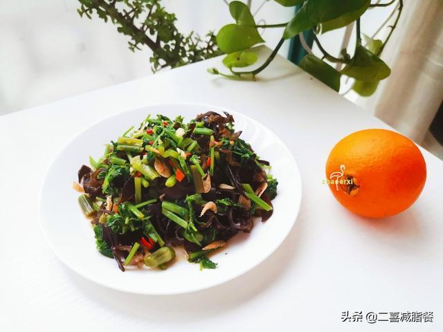 �вͶ�ʳʳ��