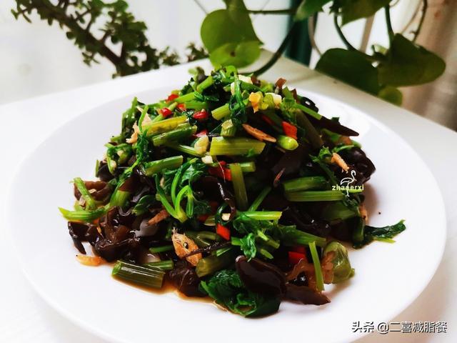 �вͶ�ʳʳ��