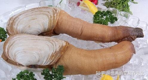 补肾壮阳食谱