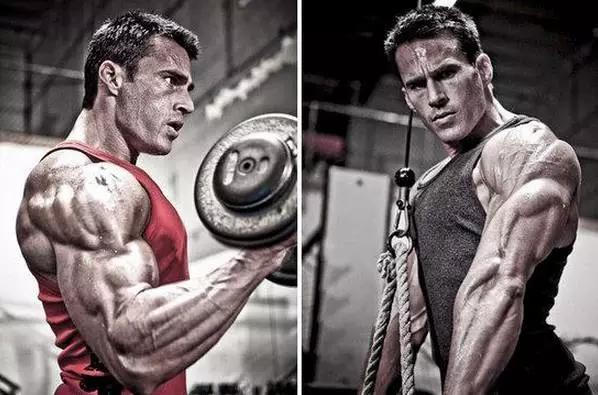 增肌增肥健身饮食食谱