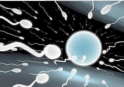 宝宝孕育指南_宝宝孕育_孕育男宝宝食谱