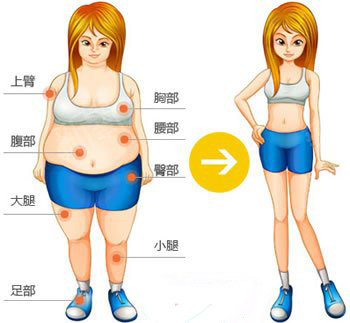 5 2Çá¶Ïʳ¼õ·Ê·¨Ê³Æ×_Çá¶Ïʳ:ÕýÔÚºáɨȫÇòµÄÊÝÉí¸ïÃü ÏÂÔØ_Àî°½ÇᲩ¿Í