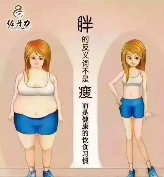 Ӫʳ_Ӫʳ30_Ӫʳ׼