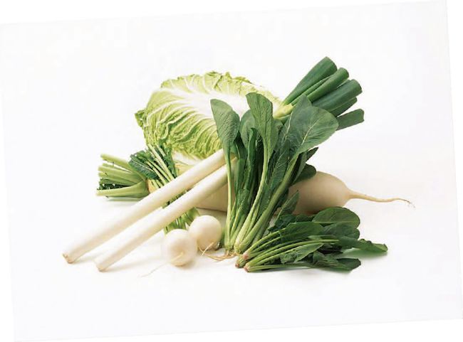 二十四节气养生食谱更年期食谱_惊蛰养生食谱_惊蛰节气怎么养生