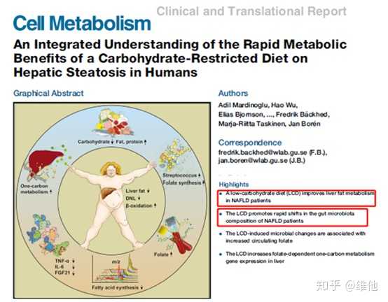 轻度脂肪肝食谱