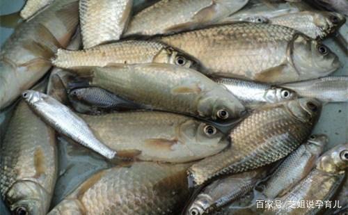 怀孕初期补气血食谱