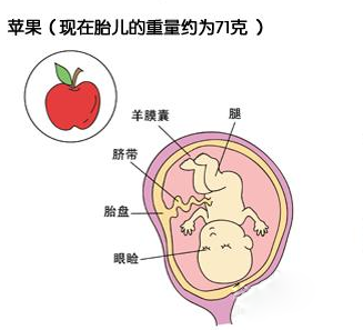 养生保健知识大全糖尿病患者补铁食谱_适合糖尿病人的食谱_妊娠期糖尿病食谱主编是谁
