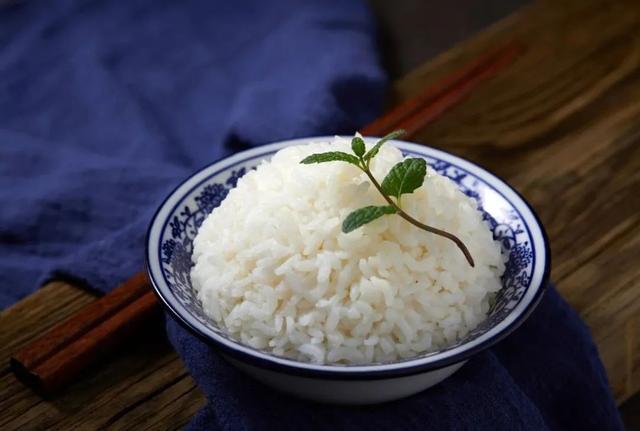 减肥健康餐食谱_老年人营养餐食谱_月子餐30天食谱及做法