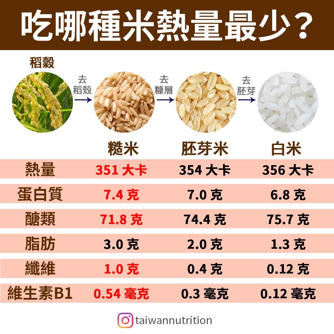 老年人营养餐食谱_减肥健康餐食谱_月子餐30天食谱及做法